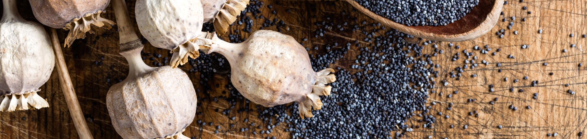 BEDNAR Farm Technology - Mák