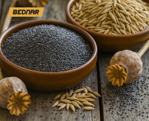 Speciální čištění osiv a minoritních plodin_BEDNAR